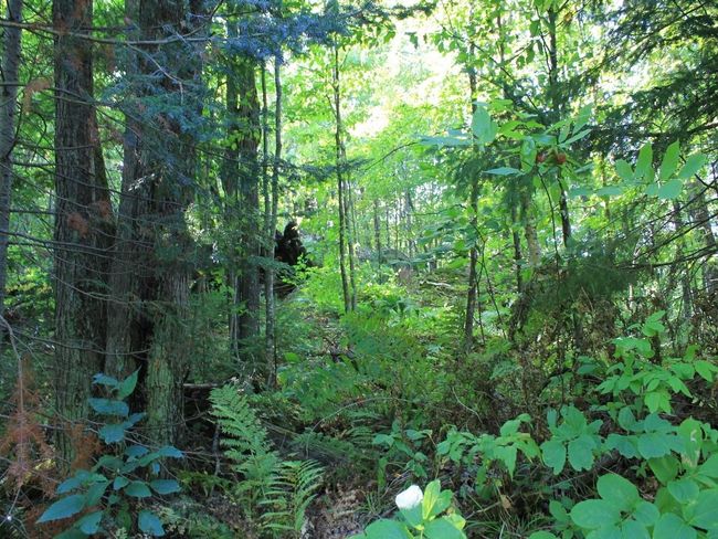 Lot 35 N Alpine Dr, Home with 0 bedrooms, 0 bathrooms and null parking in Upson WI | Image 21