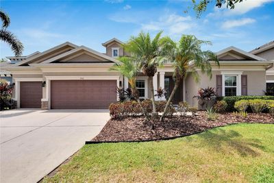 7011 Covington Stone Avenue, House other with 4 bedrooms, 4 bathrooms and null parking in Apollo Beach FL | Image 1