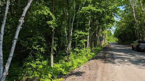 Lot 1 Tally-Ho Winter Park Road, Lake Of Bays, ON, P1H2E8 | Card Image