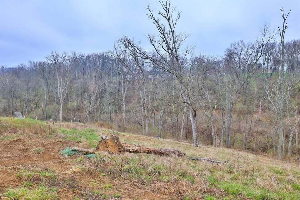 Land in Fort Mitchell 5
