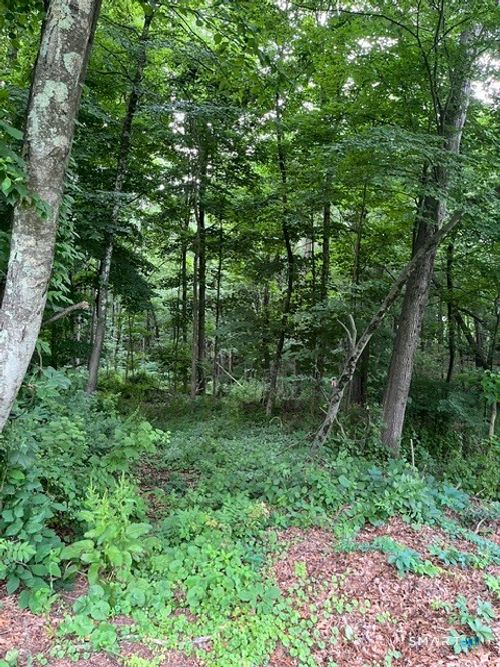 22 1/2 Country Ridge Road, Danbury, CT, 06811 | Card Image