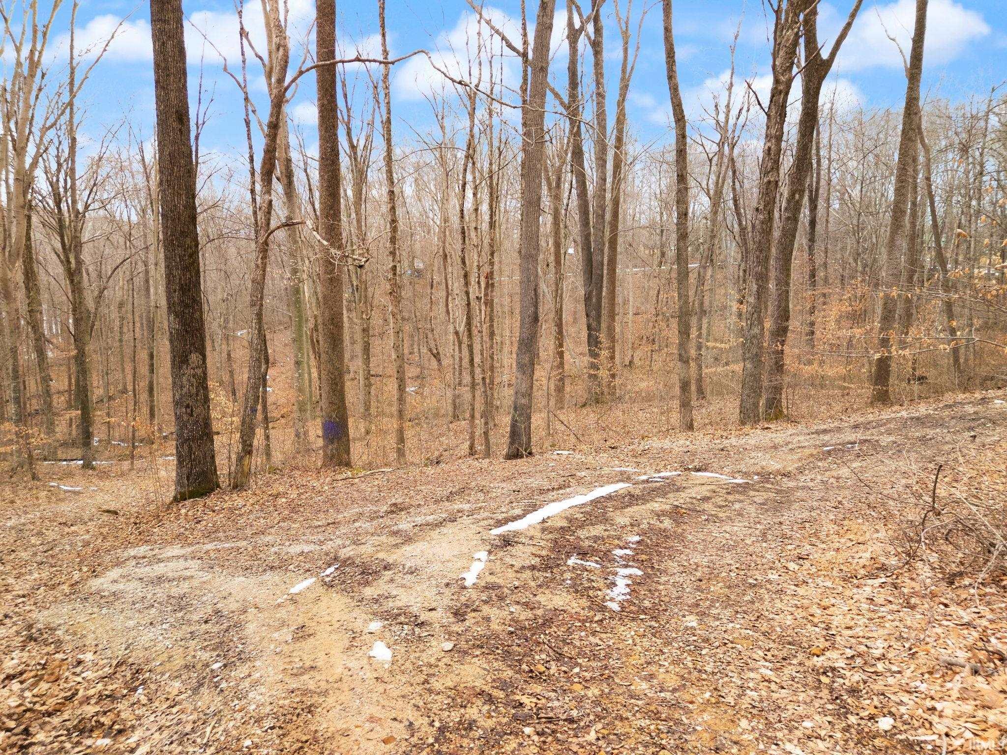 Land in Paoli 5