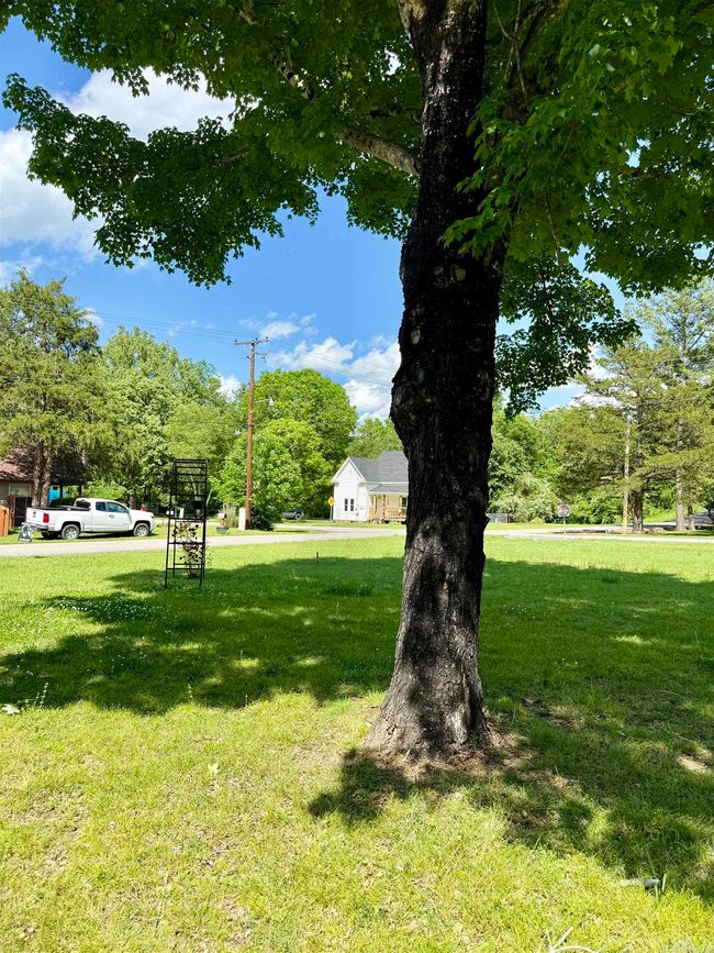 805 South St, House other with 3 bedrooms, 1 bathrooms and null parking in Heber Springs AR | Image 24
