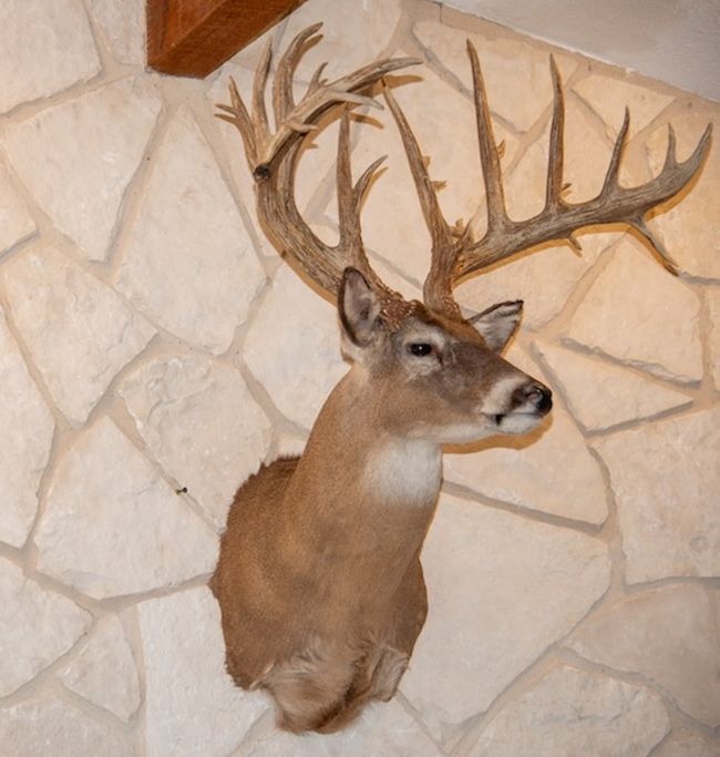 290 Dominion Road, Home with 0 bedrooms, 0 bathrooms and null parking in Mountain Home TX | Image 14