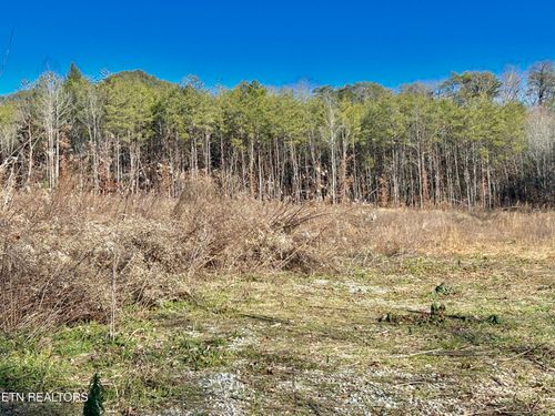 504 Wiggins Rd, Tellico Plains, TN, 37385-8000 | Card Image