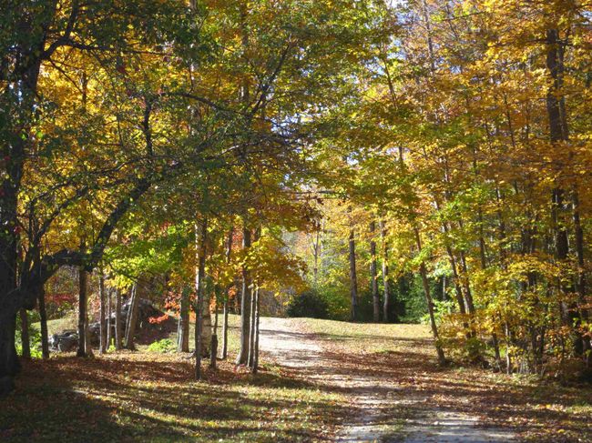 07-035 - 317 Bridgewater Hollow Rd Ext, House other with 3 bedrooms, 3 bathrooms and null parking in Bridgewtr Cor VT | Image 25