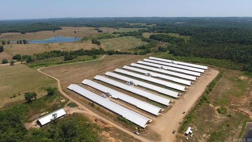 12213 Highway 93, Pocahontas, AR, 72455-5116 | Card Image