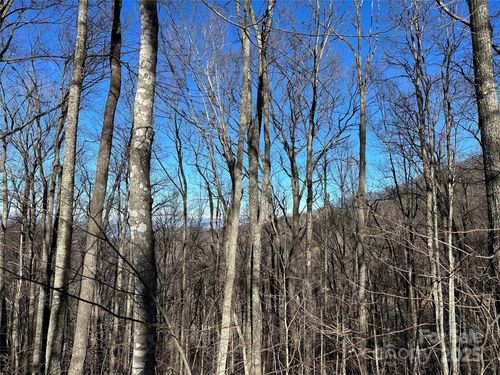 14-000 Macallan Dr, Waynesville, NC, 28786 | Card Image