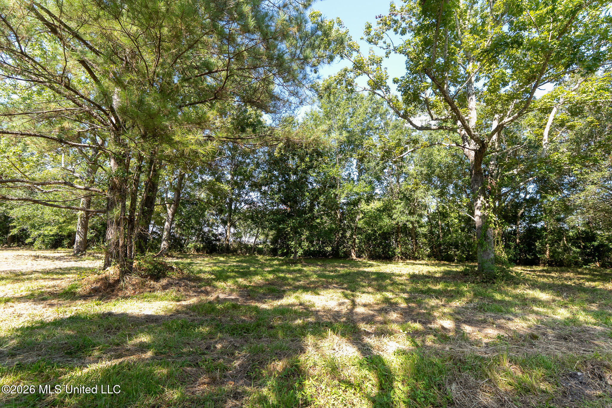 Land in D'Iberville 3