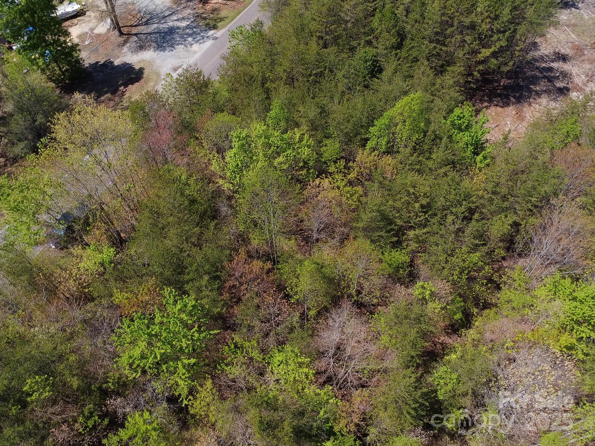 Land in Morganton 3