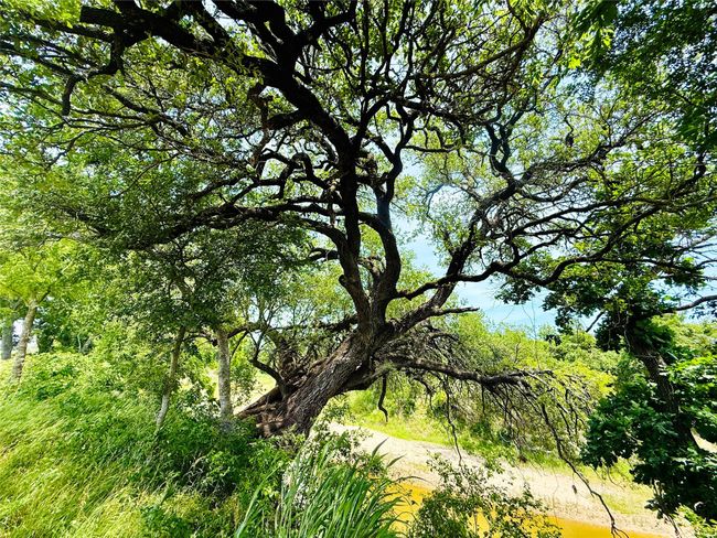 View of nature | Image 28