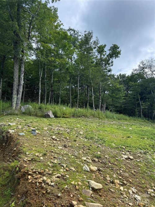 Lot 108 Buena Vista Loop, Sugar Mountain, NC, 28604-6300 | Card Image