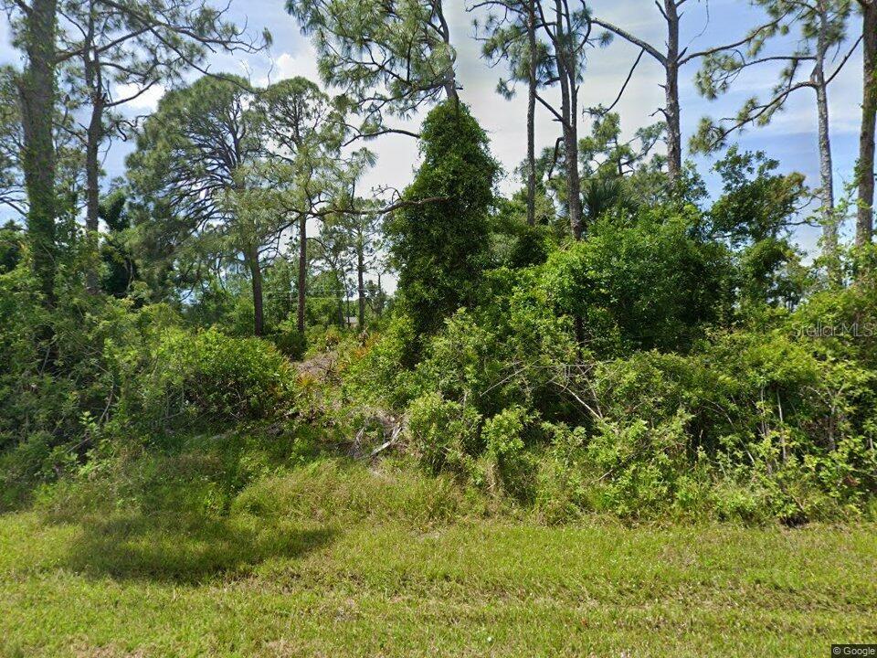 Land in PORT CHARLOTTE