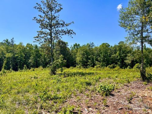2 Cotton Lake Rd, Molino, FL, 32577 | Card Image