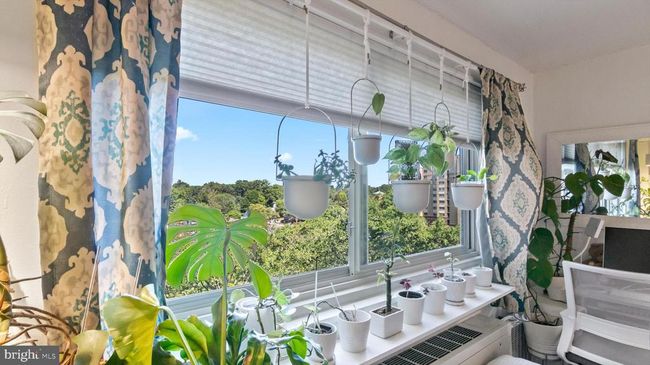 APT-800 - 7333 New Hampshire Ave, Condo with 0 bedrooms, 1 bathrooms and null parking in TAKOMA PARK MD | Image 7