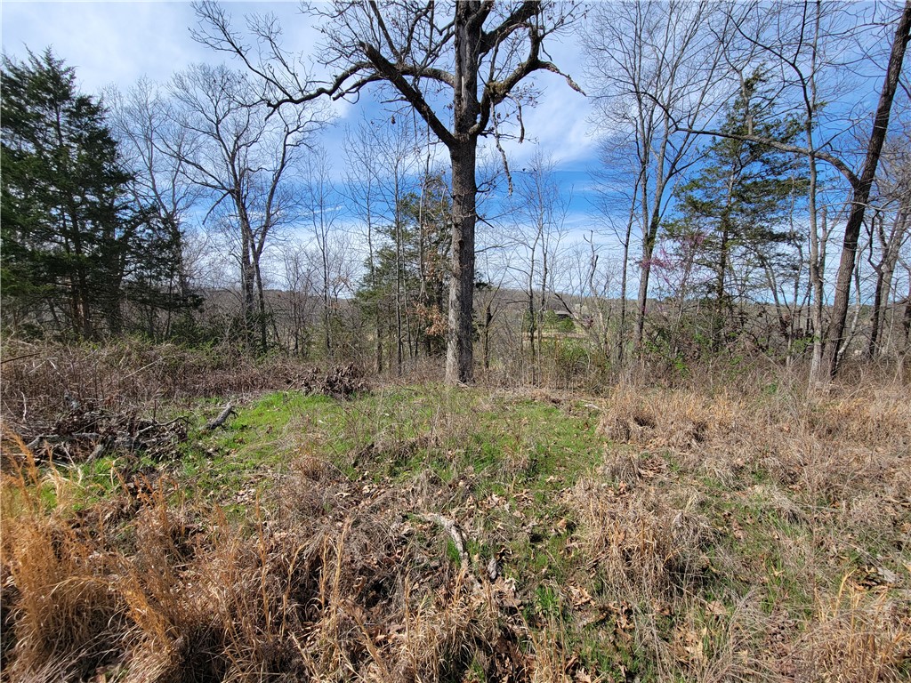 Land in Bella Vista 5