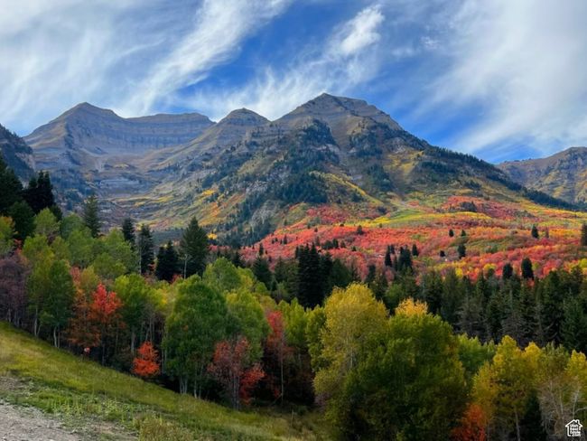 Beautiful Mt. Timpanogos in fall | Image 34