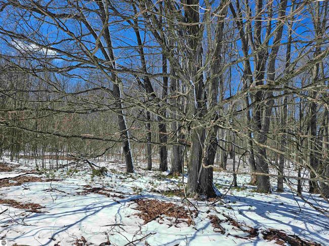 0000 V/L "C" Grass Lake Road, Home with 0 bedrooms, 0 bathrooms and null parking in Kalkaska MI | Image 6