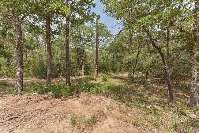 View of landscape | Image 23