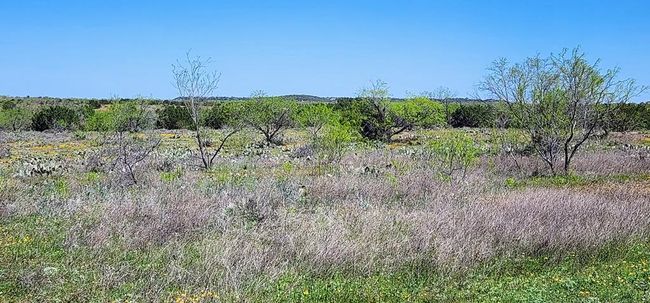 126 Cervenka Rd, House other with 3 bedrooms, 2 bathrooms and null parking in Bronte TX | Image 31