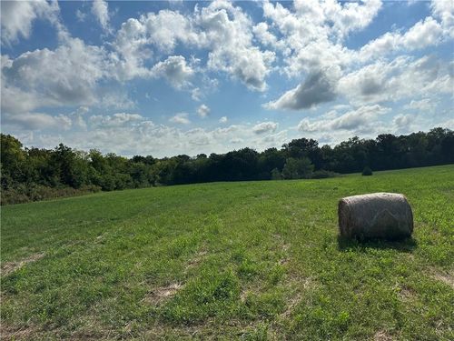 LOT 13 Se Whitetail Rd, Polo, MO, 64671 | Card Image