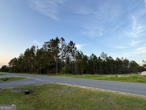 0 LAKEVIEW DR Lakeview Dr, Homerville, GA, 31634 | Card Image