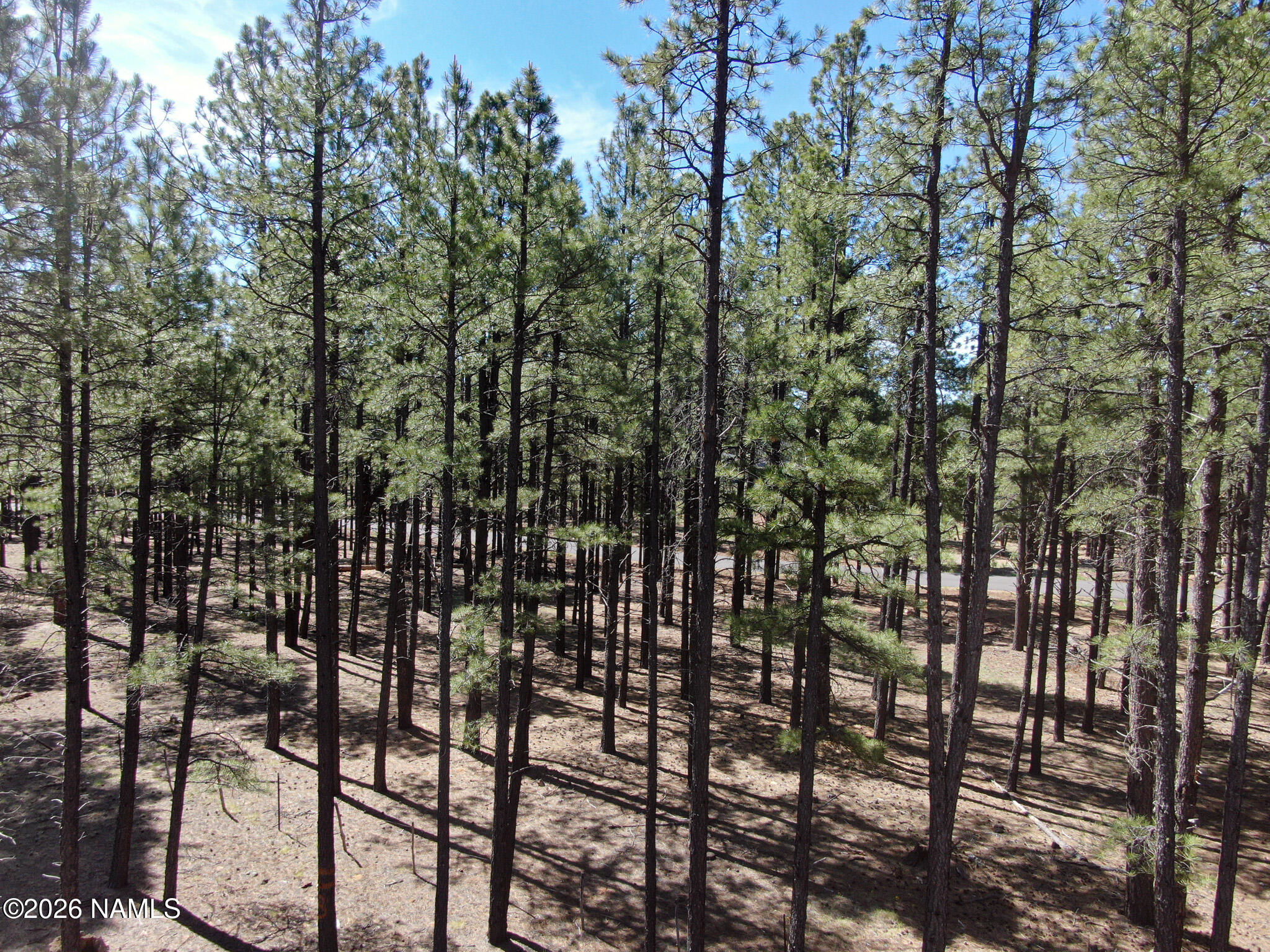 Land in Flagstaff 5