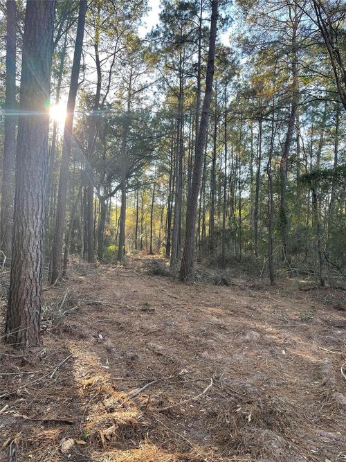 13034 Hackberry Dr, Plantersville, TX, 77363 | Card Image