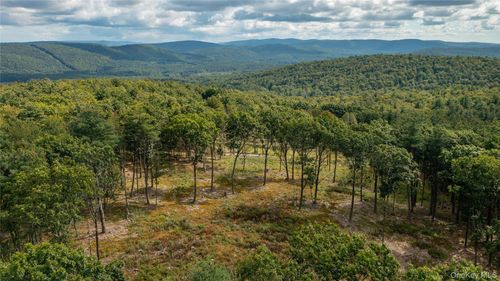 TBD Old Ghost Rd, Canaan, NY, 12029 | Card Image
