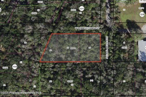 0 W Dunn St, Homosassa, FL, 34448 | Card Image