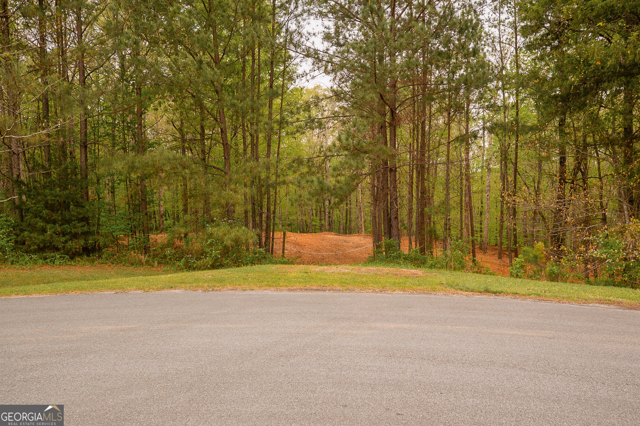 Land in Forsyth