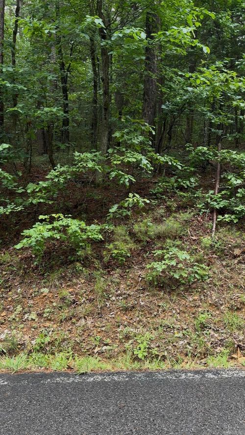 000 White Oak Court, Fairfield Bay, AR, 72088 | Card Image