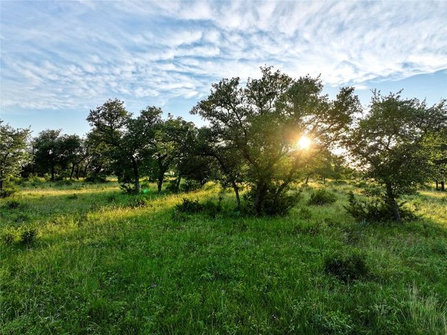 View of undeveloped land | Image 20
