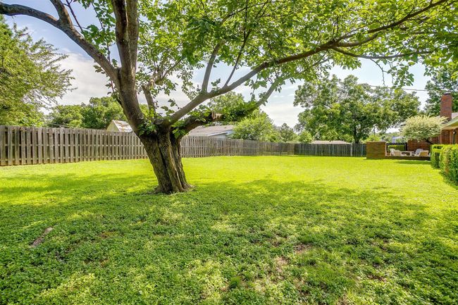 View of fenced backyard | Image 40