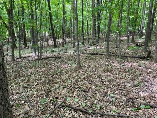 xxx 185th Street, Eureka, WI, 54858 | Card Image