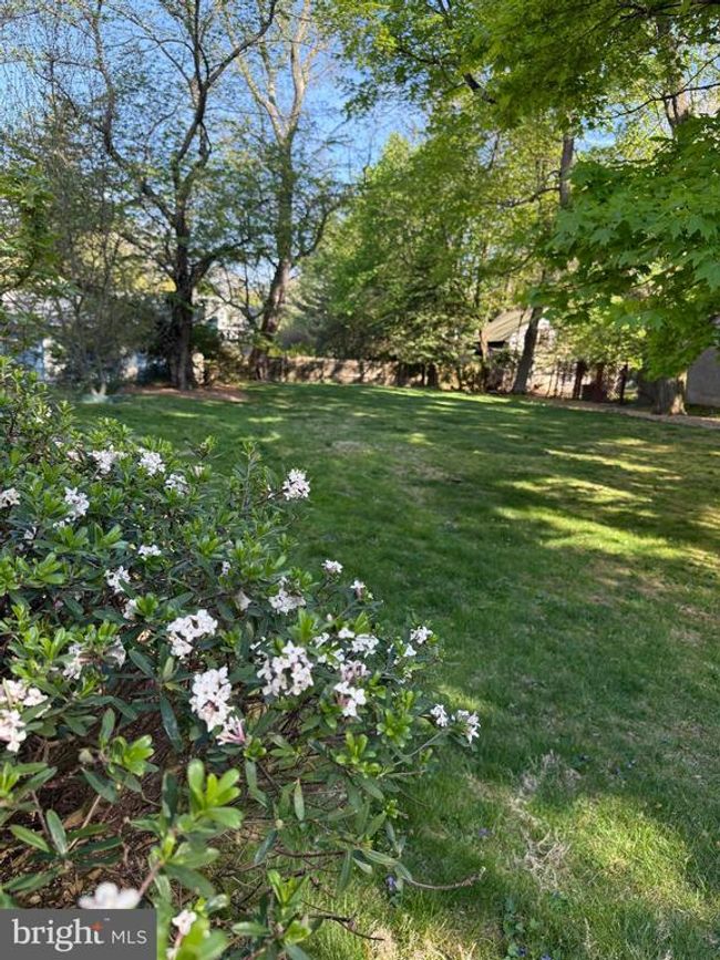 APT-1 - 519 Walnut Ln, Condo with 3 bedrooms, 2 bathrooms and null parking in SWARTHMORE PA | Image 31
