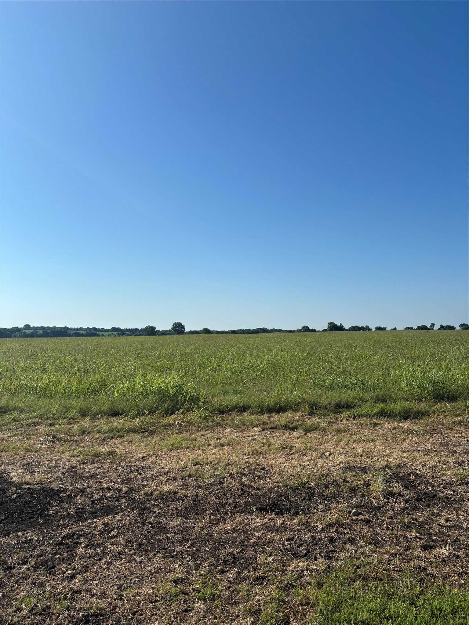Land in Waxahachie