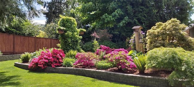Summer Rendering | Image 55