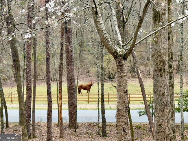 916 Sautee Trl, House other with 4 bedrooms, 3 bathrooms and null parking in Sautee Nacoochee GA | Image 38