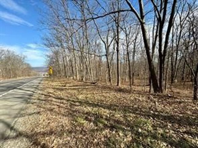 0 Belle Cornell/State Route 414 Drive, Home with 0 bedrooms, 0 bathrooms and null parking in Dix NY | Image 4