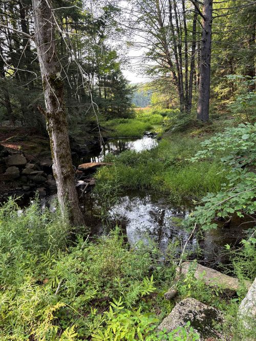 0 Access Road, Chesterfield, NH, 03443 | Card Image
