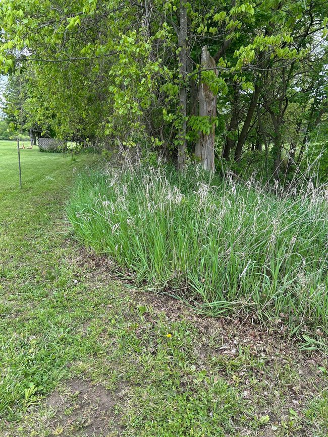 8895 S Airport Rd, House other with 4 bedrooms, 3 bathrooms and null parking in Dewitt MI | Image 63