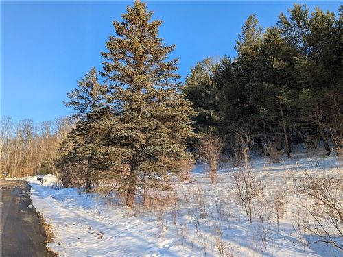 0 Oak Brook Drive, Dryden, NY, 14850 | Card Image