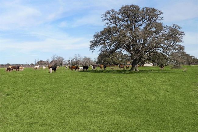 1014 River Plant Rd, Home with 3 bedrooms, 3 bathrooms and null parking in Eagle Lake TX | Image 30