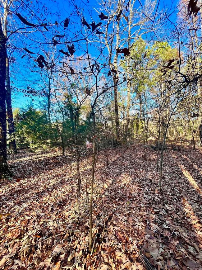 62 Dallas 409, Home with 0 bedrooms, 0 bathrooms and null parking in Leola AR | Image 9