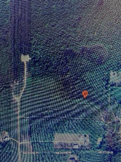 TBD Ne 125th Ave, Fort Mc Coy, FL, 32134 | Card Image