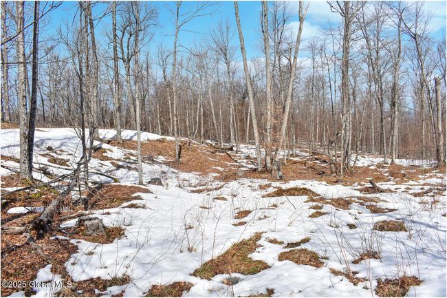 48 Durkin Rd, Home with 0 bedrooms, 0 bathrooms and null parking in North Creek NY | Image 64