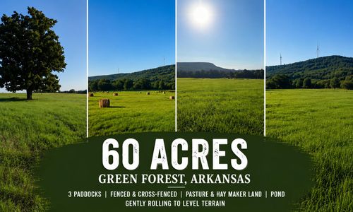TBD County Road 906, Green Forest, AR, 72638 | Card Image