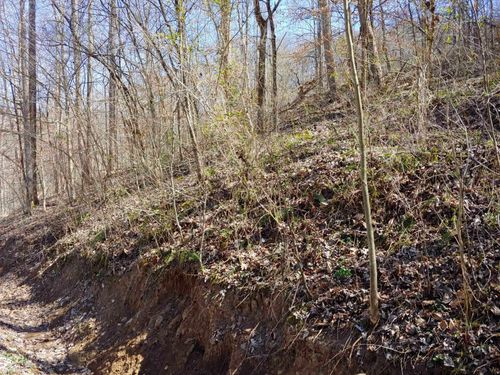 9-phase-2-0 Birch Hollow Rd, Stanton, KY, 40380 | Card Image