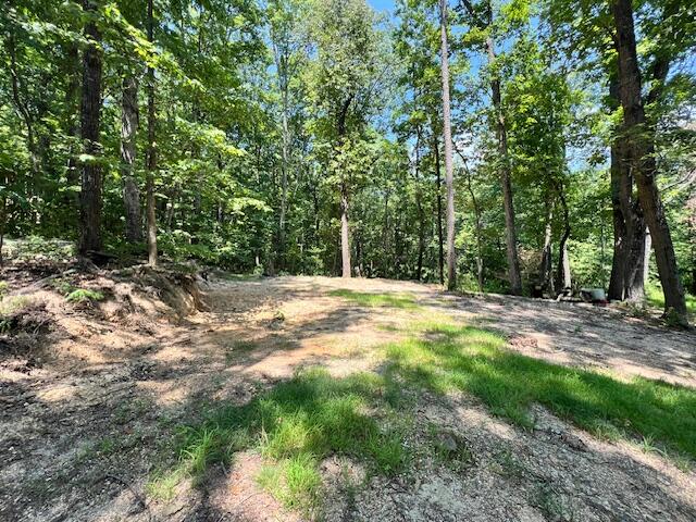Baggett Rd, Ringgold, GA 30736
